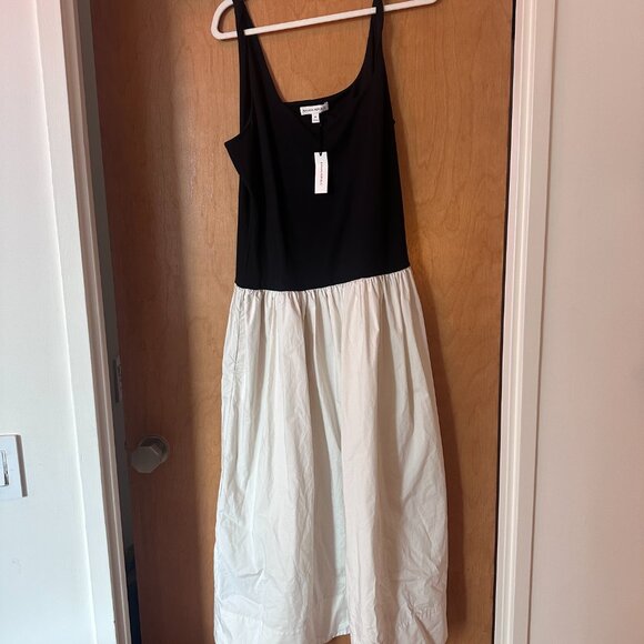 Banana Republic Drop Waist Midi Dress - Picture 6 of 6